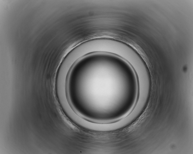 X0000099420850200805090749