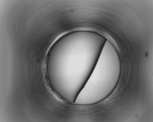 X0000099420852200805090749