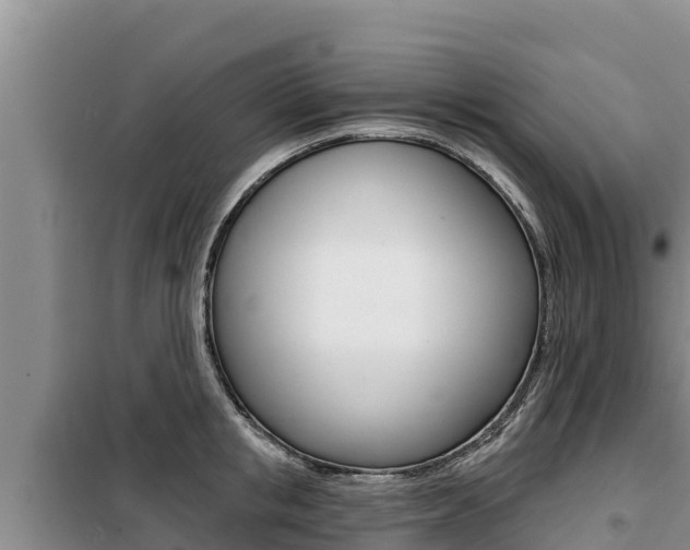 X0000099420853200805090749