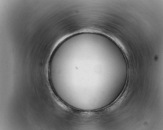X0000099420854200805090749