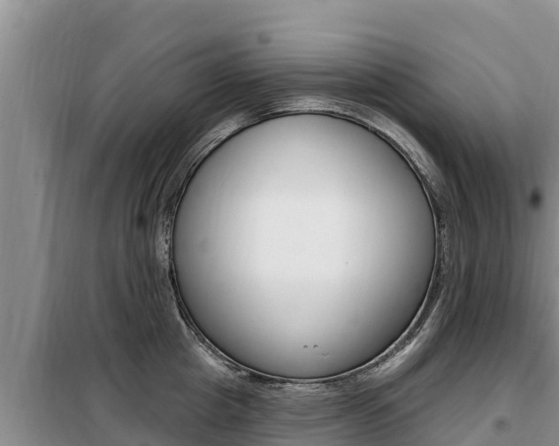 X0000099420857200805090749