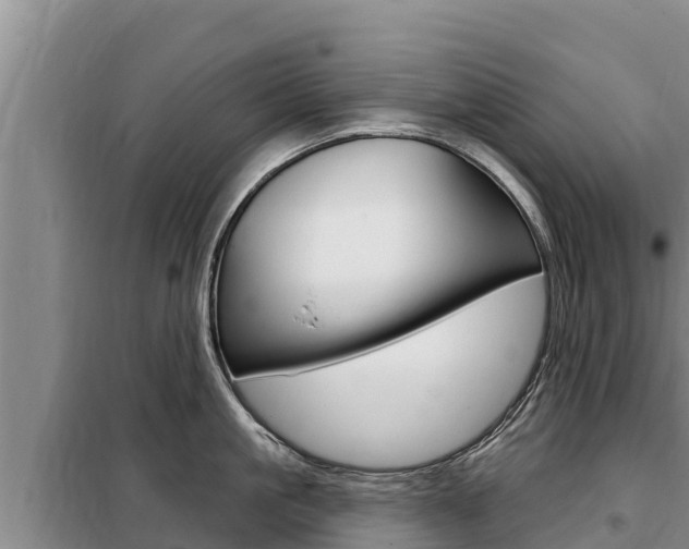 X0000099420861200805090749
