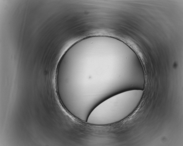 X0000099420863200805090749