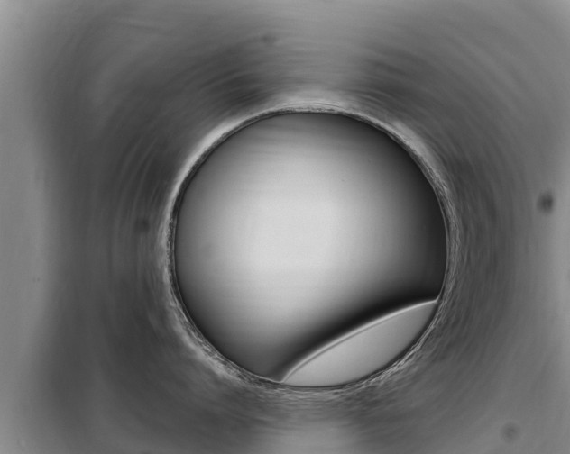 X0000099420864200805090749