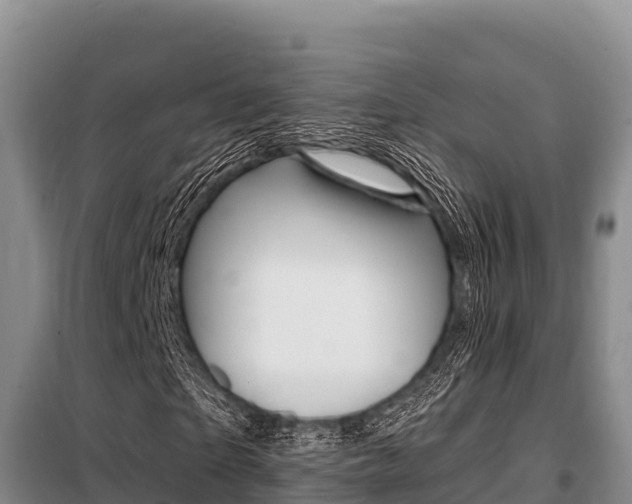 X0000099420865200805090748
