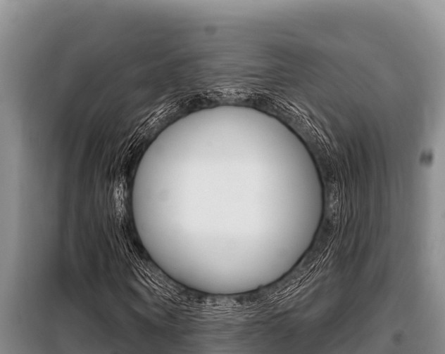 X0000099420866200805090748