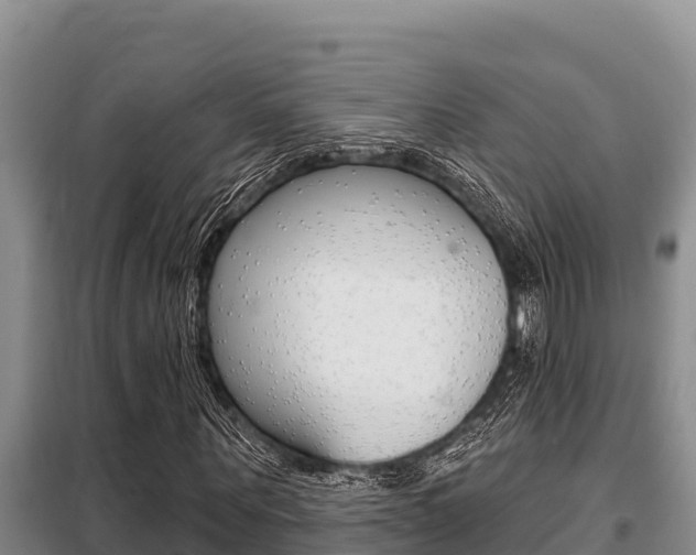 X0000099420867200805090748