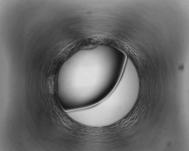 X0000099420868200805090748