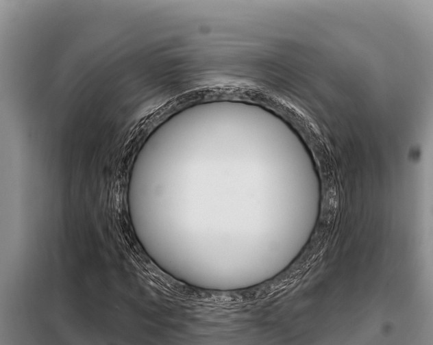 X0000099420869200805090748