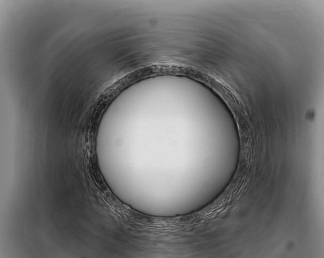 X0000099420870200805090748