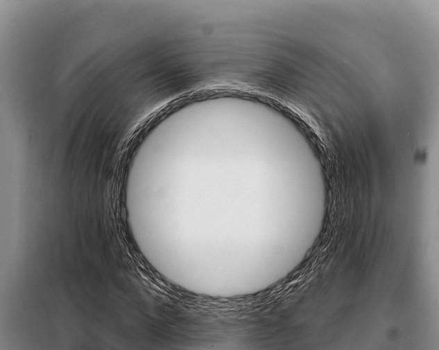 X0000099420872200805090748