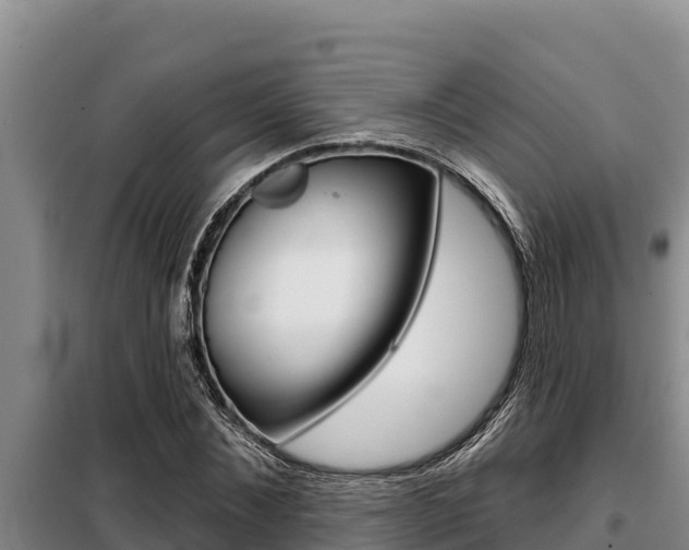 X0000099420876200805090748