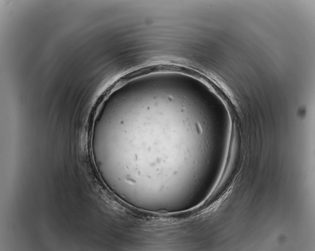 X0000099420877200805090748