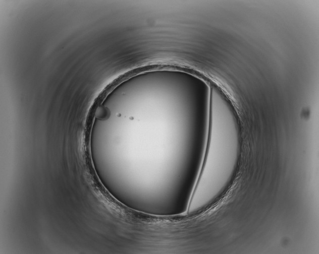 X0000099420880200805090748