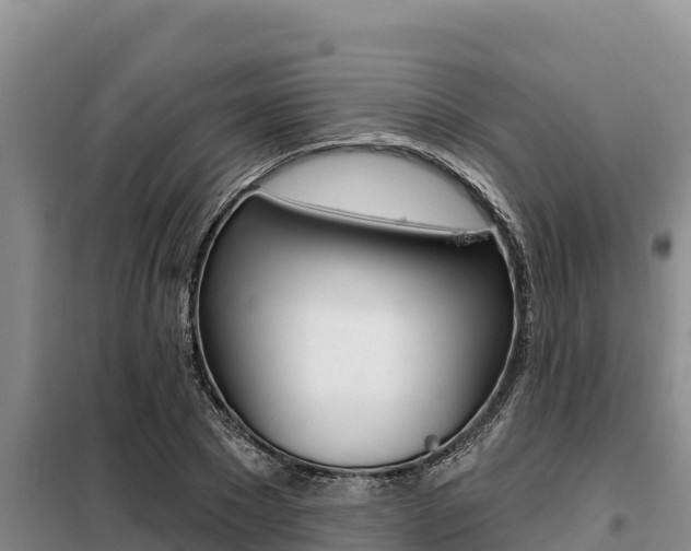 X0000099420881200805090748