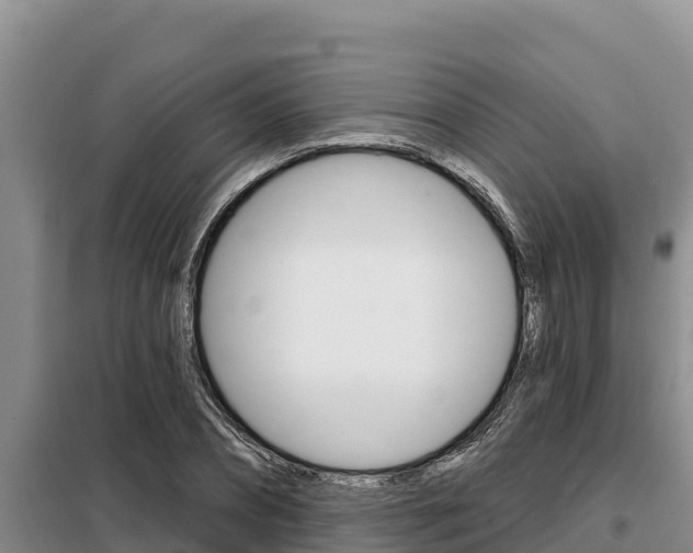 X0000099420882200805090748