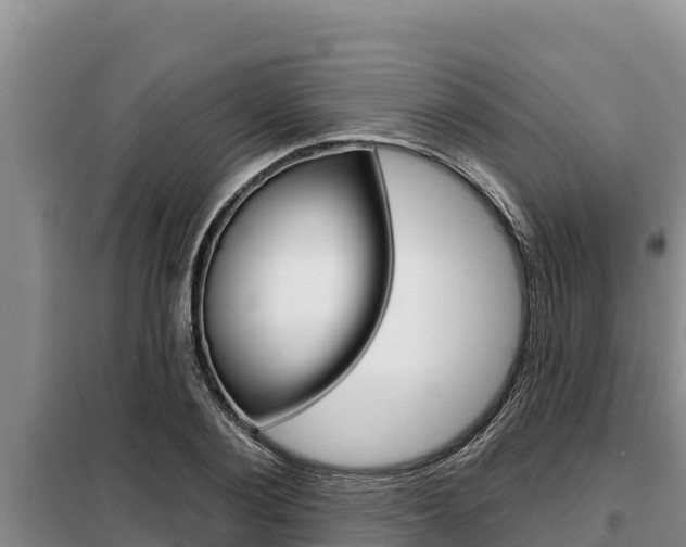 X0000099420884200805090748