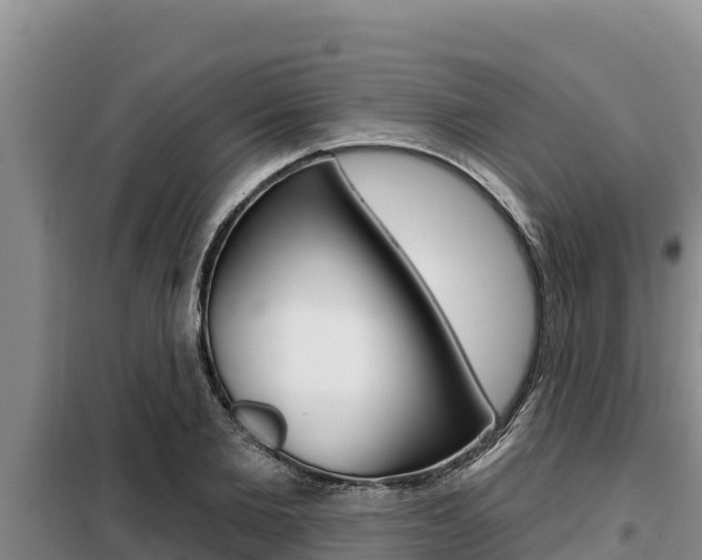X0000099420885200805090748