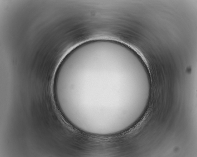 X0000099420887200805090748