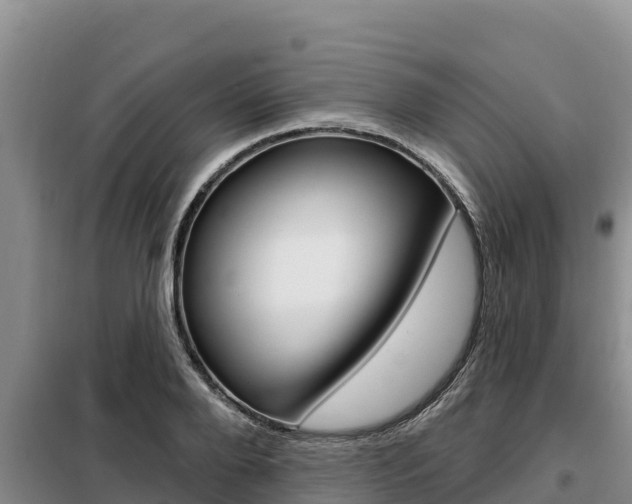 X0000099420888200805090748