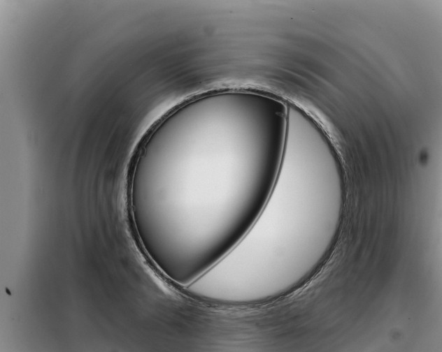 X0000099420894200805090748