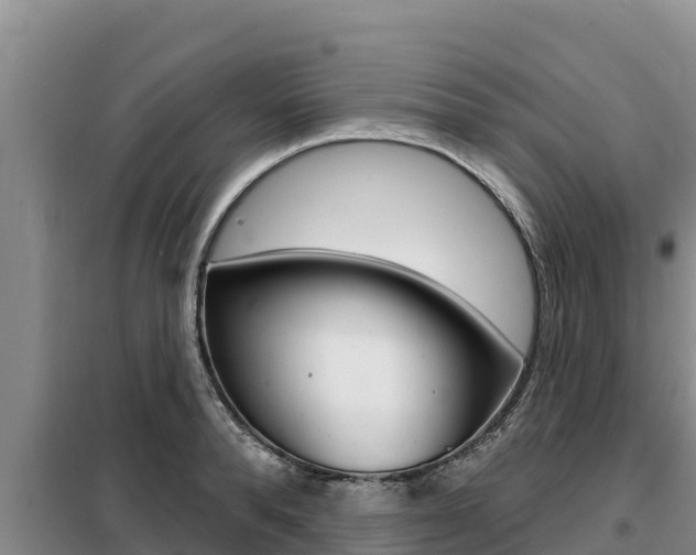 X0000099420896200805090748