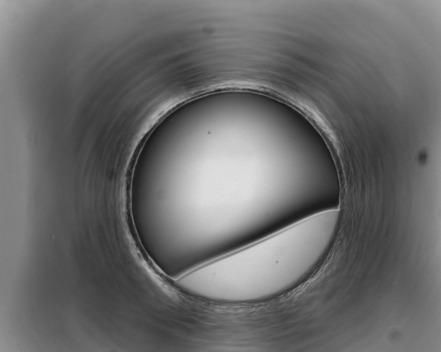 X0000099420898200805090748