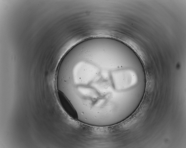 X0000099420901200805090748