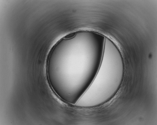 X0000099420902200805090748
