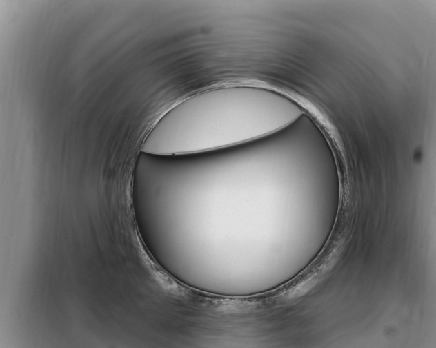 X0000099420905200805090748
