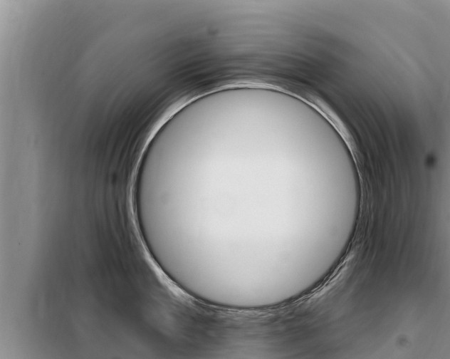 X0000099420909200805090748