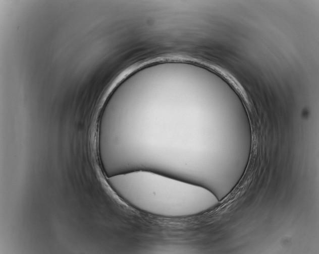 X0000099420911200805090748