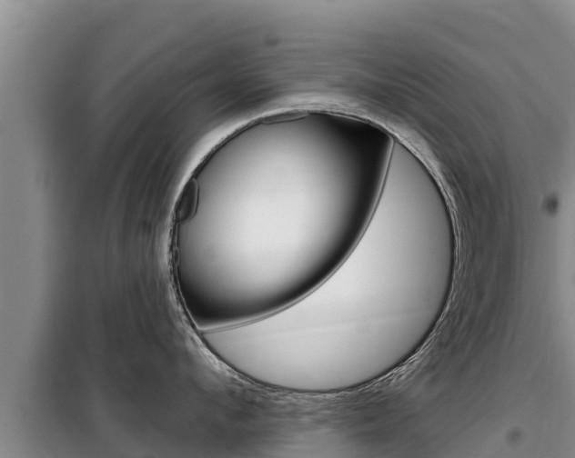 X0000099420912200805090748