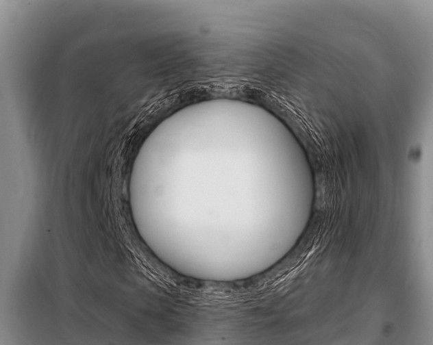 X0000099420913200805090747
