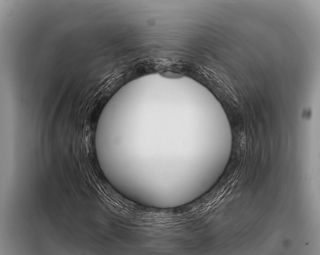 X0000099420914200805090747
