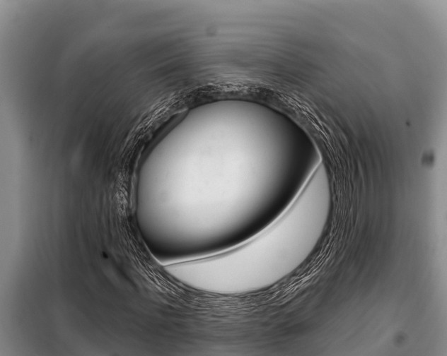 X0000099420916200805090747