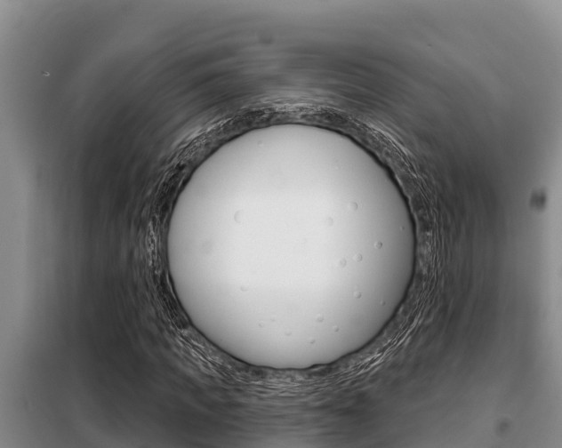 X0000099420917200805090747
