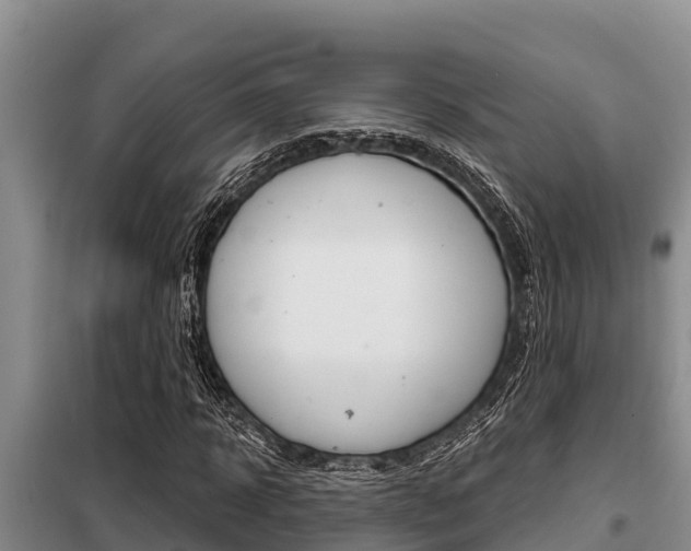 X0000099420918200805090747