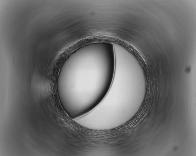 X0000099420919200805090747