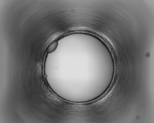 X0000099420921200805090747