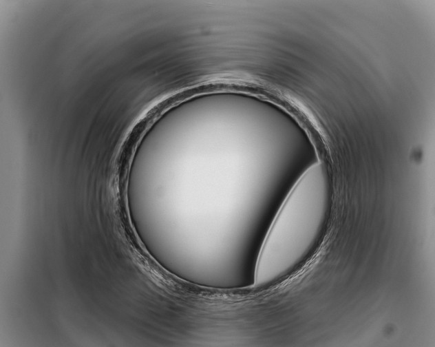 X0000099420923200805090747