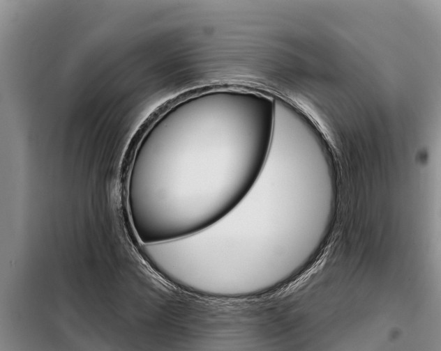 X0000099420924200805090747