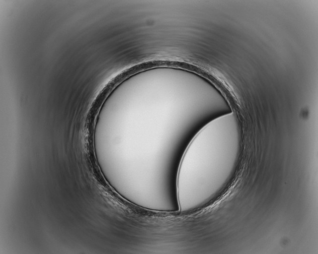 X0000099420926200805090747