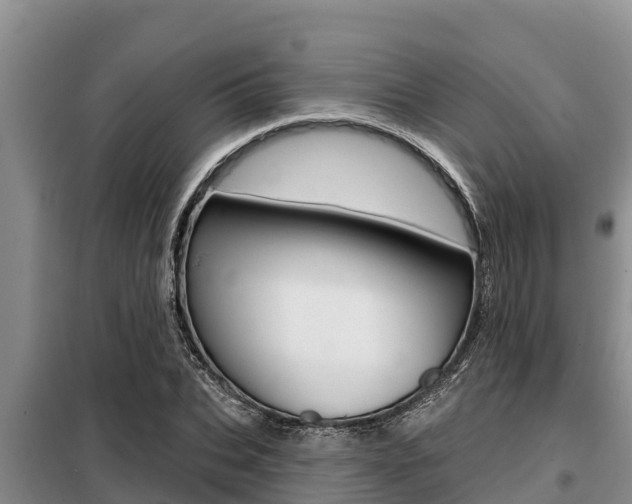 X0000099420927200805090747