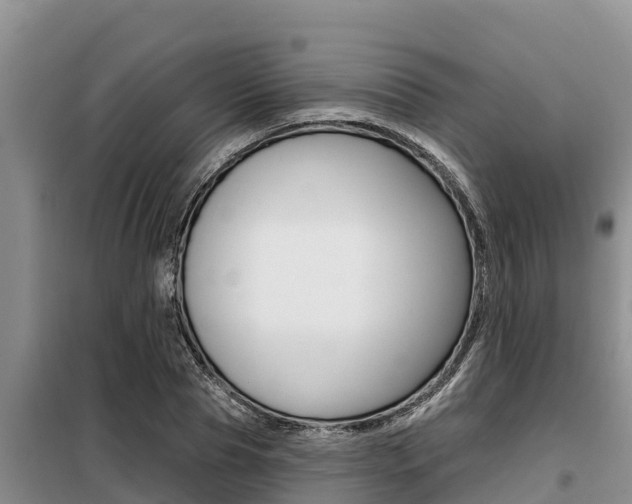 X0000099420929200805090747