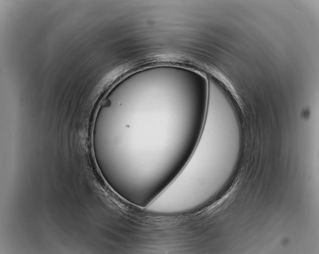 X0000099420930200805090747
