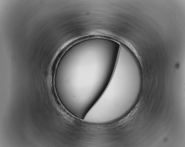 X0000099420931200805090747