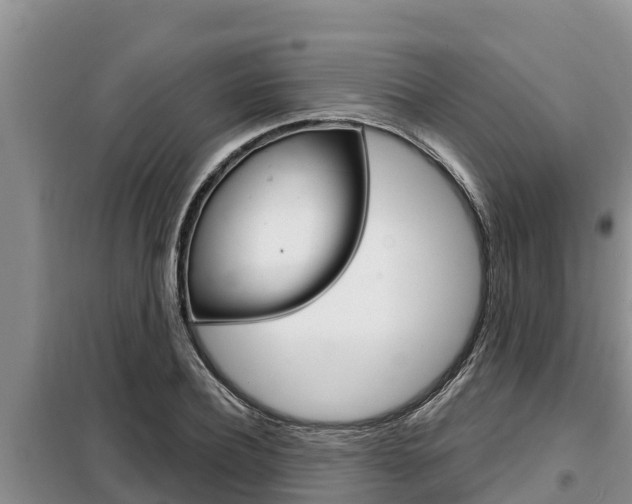 X0000099420932200805090747