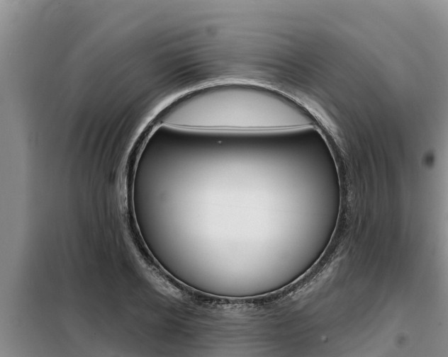 X0000099420934200805090747