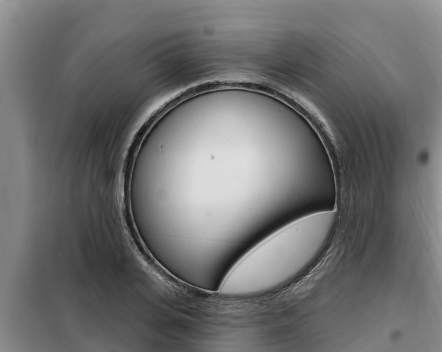 X0000099420935200805090747